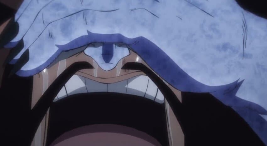 원피스 사실 딸에게 다 맞춰줬던 카이도_6.jpg