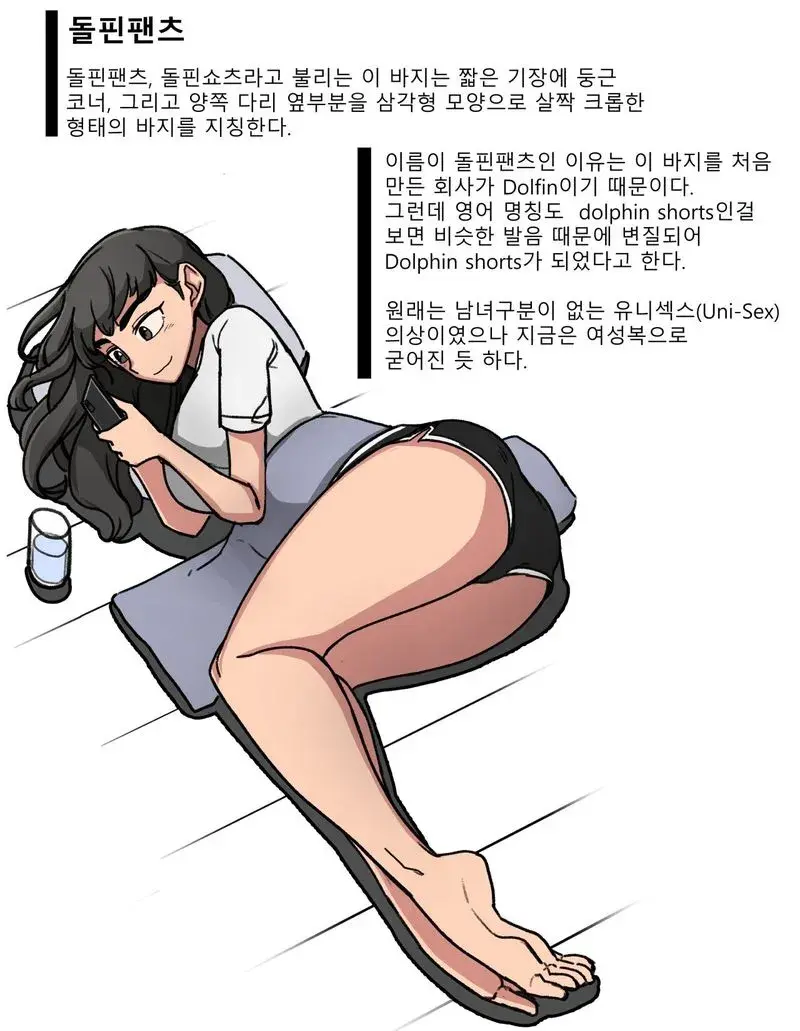 휴일 아침엔 돌핀팬츠에 대해 알아보자_1.webp