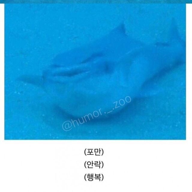 인간 덕분에 꿀빨고 있는 생물.jpg_4.jpg