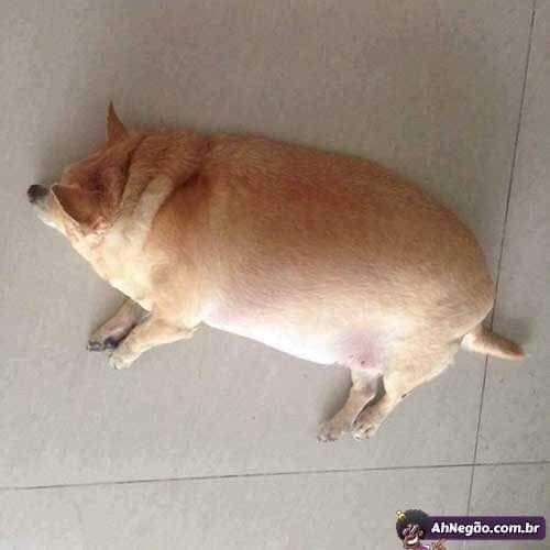 아침으로 편의점 도시락 머겄어요_1.jpg