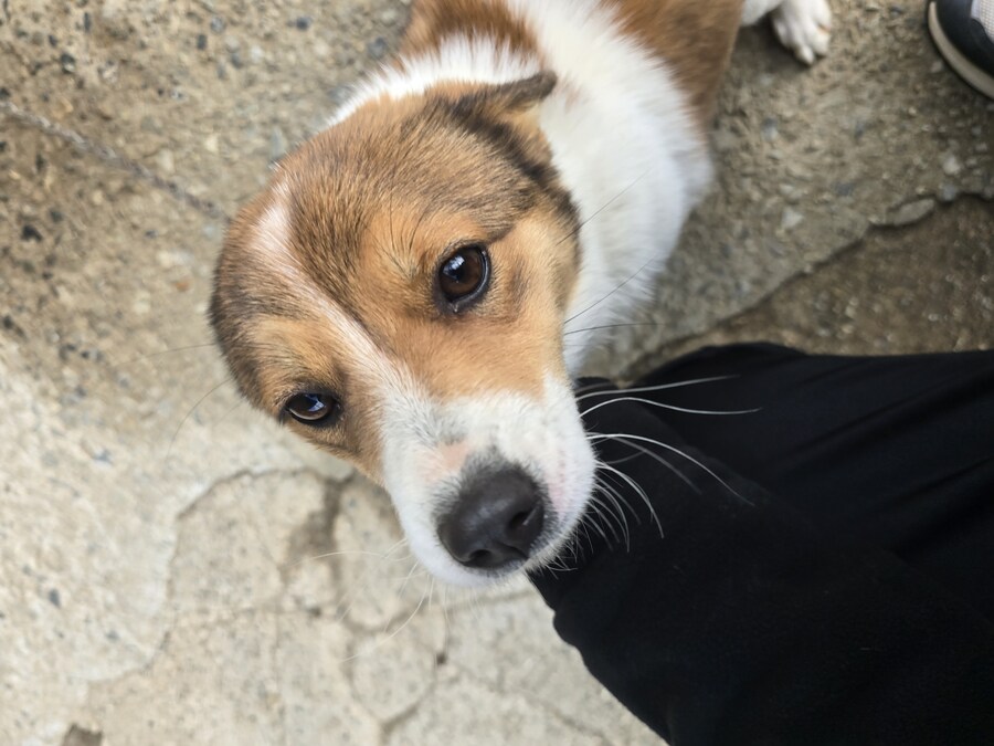 명절 큰집 시고르 자브종 근황_9.jpg