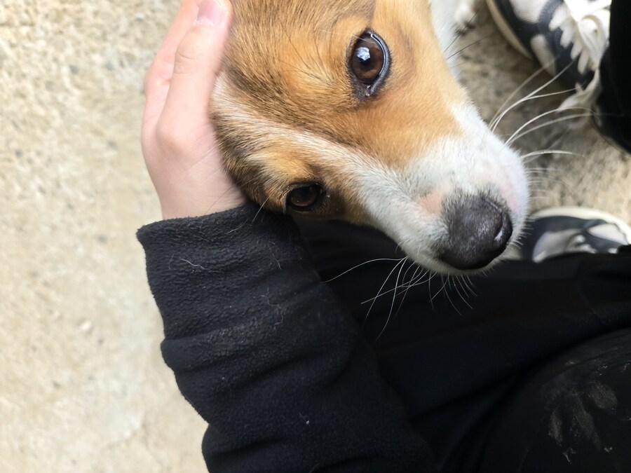 명절 큰집 시고르 자브종 근황_11.jpg