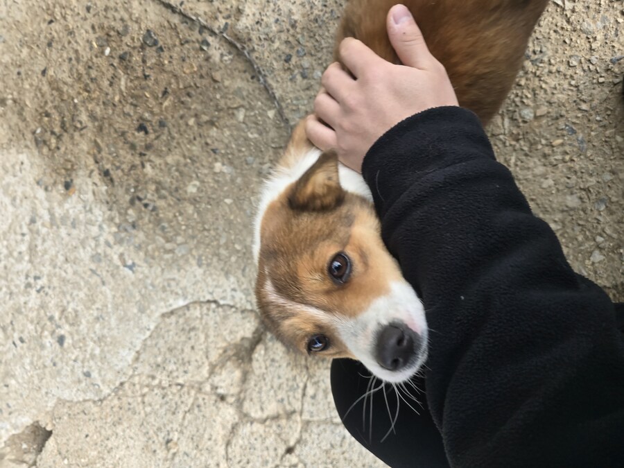 명절 큰집 시고르 자브종 근황_15.jpg