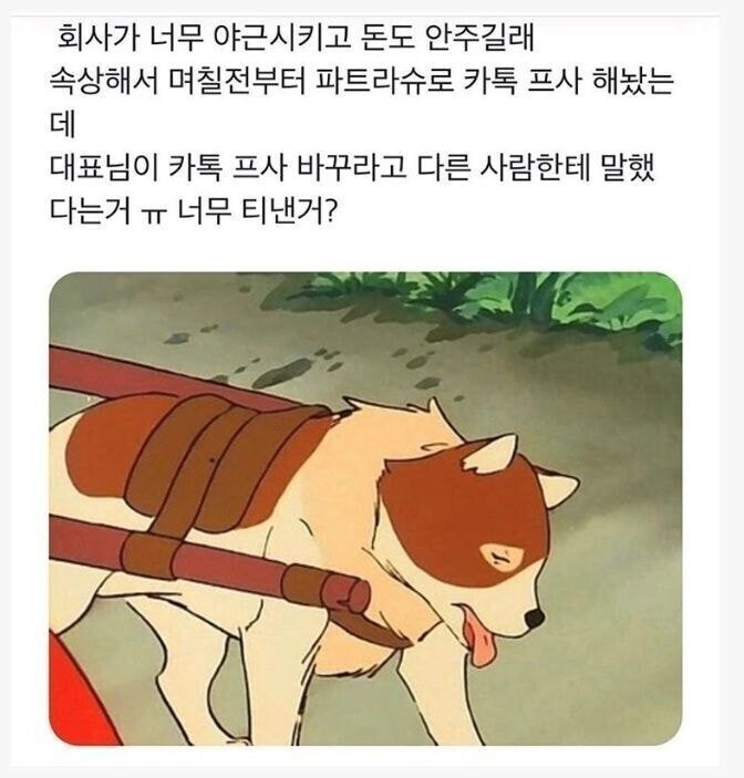 조ㅅ소 직원 프사_1.jpg