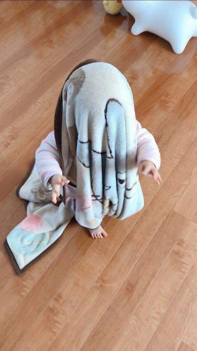 숨바꼭질 뉴비의 치명적인 자태.jpg_2.jpg