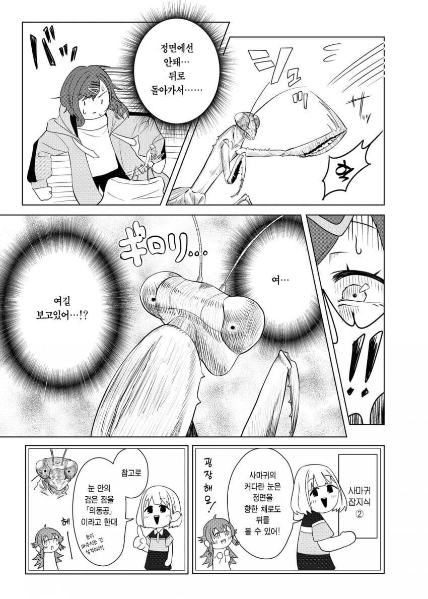 @) 사마귀랑 싸우는 히구치 마도카 만화_8.jpg