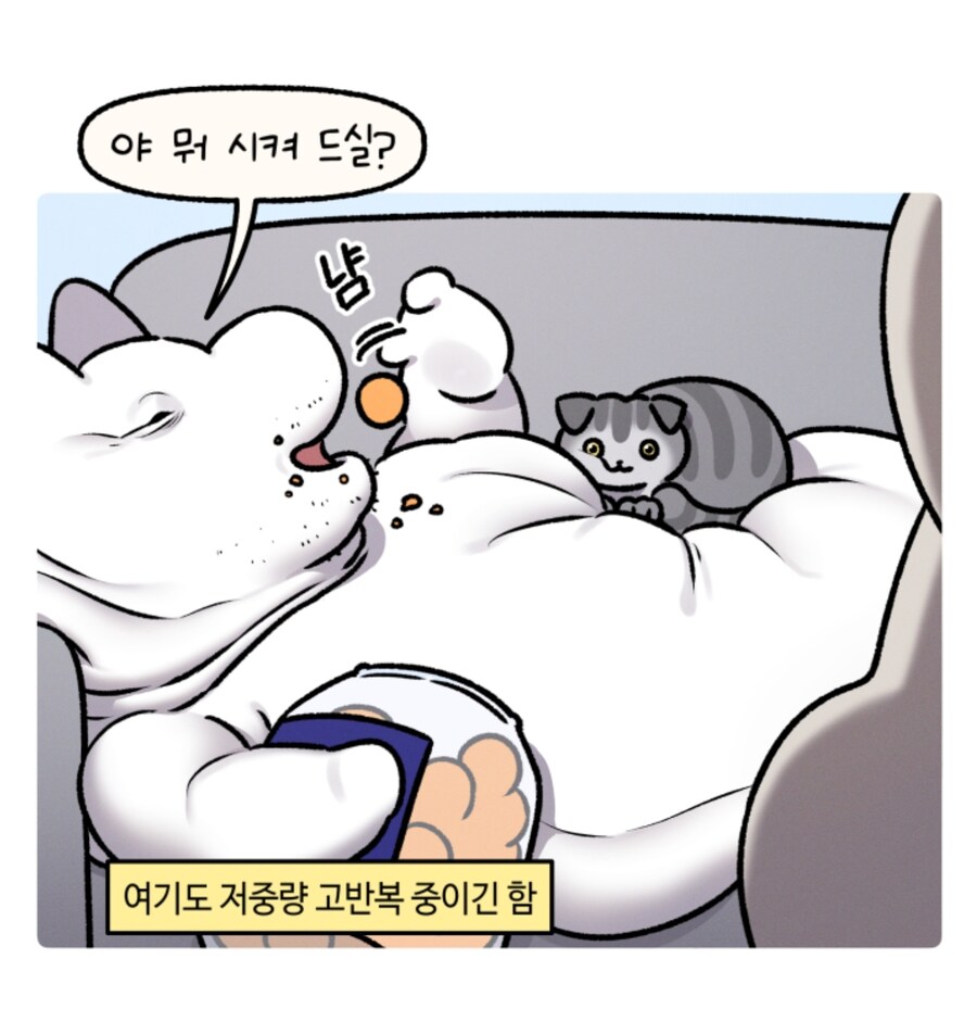 어느 웹툰작가 결혼식사진에 들어온 지적_7.jpg