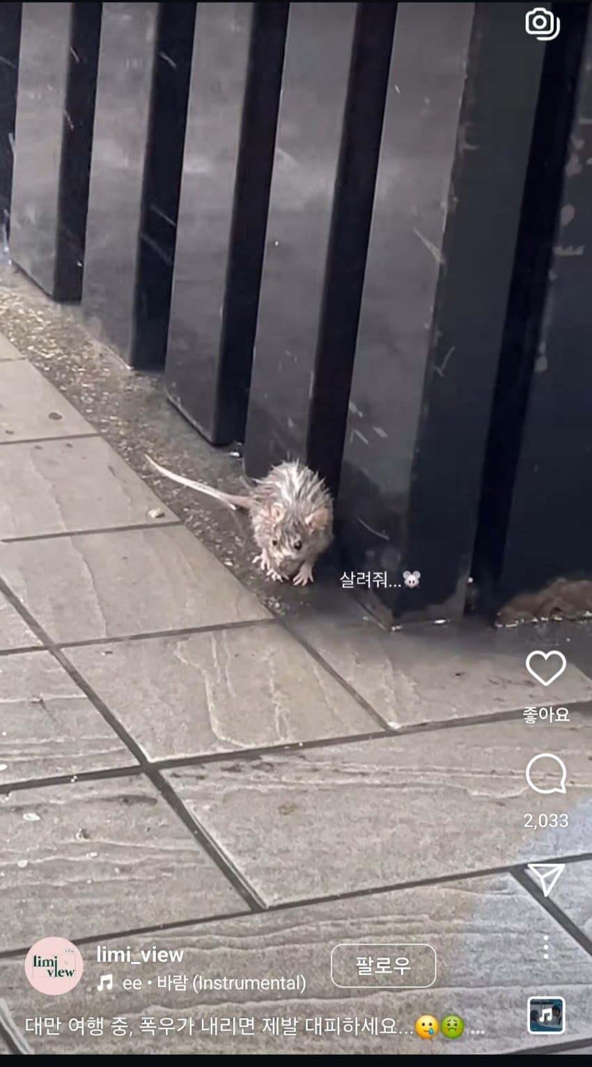 대만에서 비올때 조심해야하는거_6.jpg