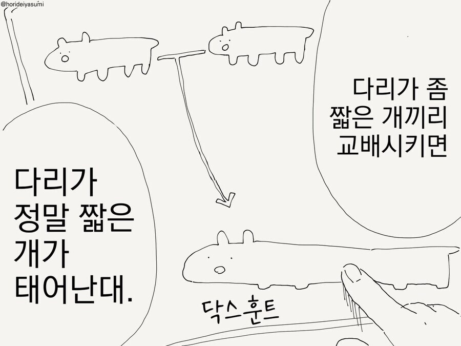 품종개량 연구의 정점 결과물_2.jpg