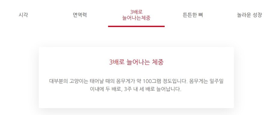 사료 전문 회사에서 말하는 고양이의 성장속도_1.png