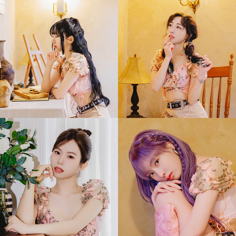 맥스컴퍼니엔터테인먼트 이미지