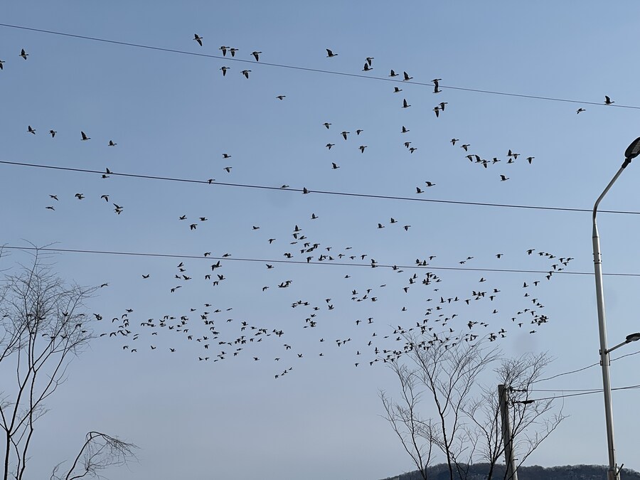 일상) 도망 치려는 걸 포기하기로 했다. 부딪혀보려 한다._1.jpg