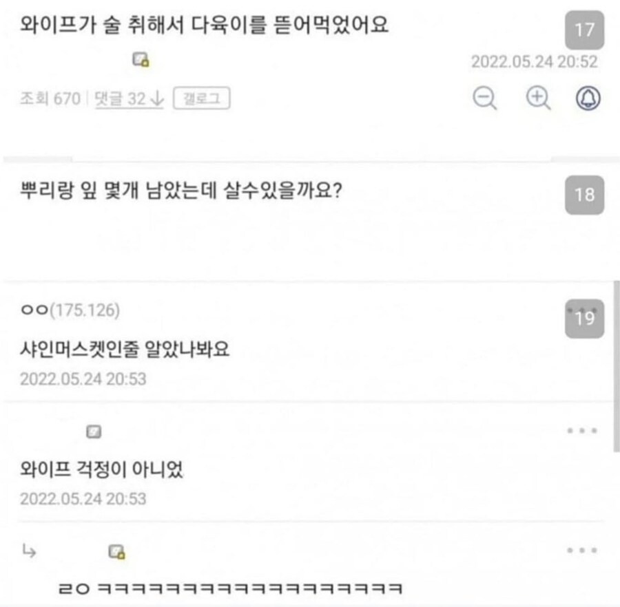 와이프가 술 취해서 다육이를 뜯어먹었어요.jpg_1.jpg