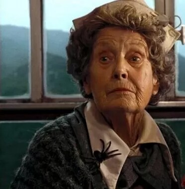 해리가 호그와트에서도 왕따당한 이유_1.png