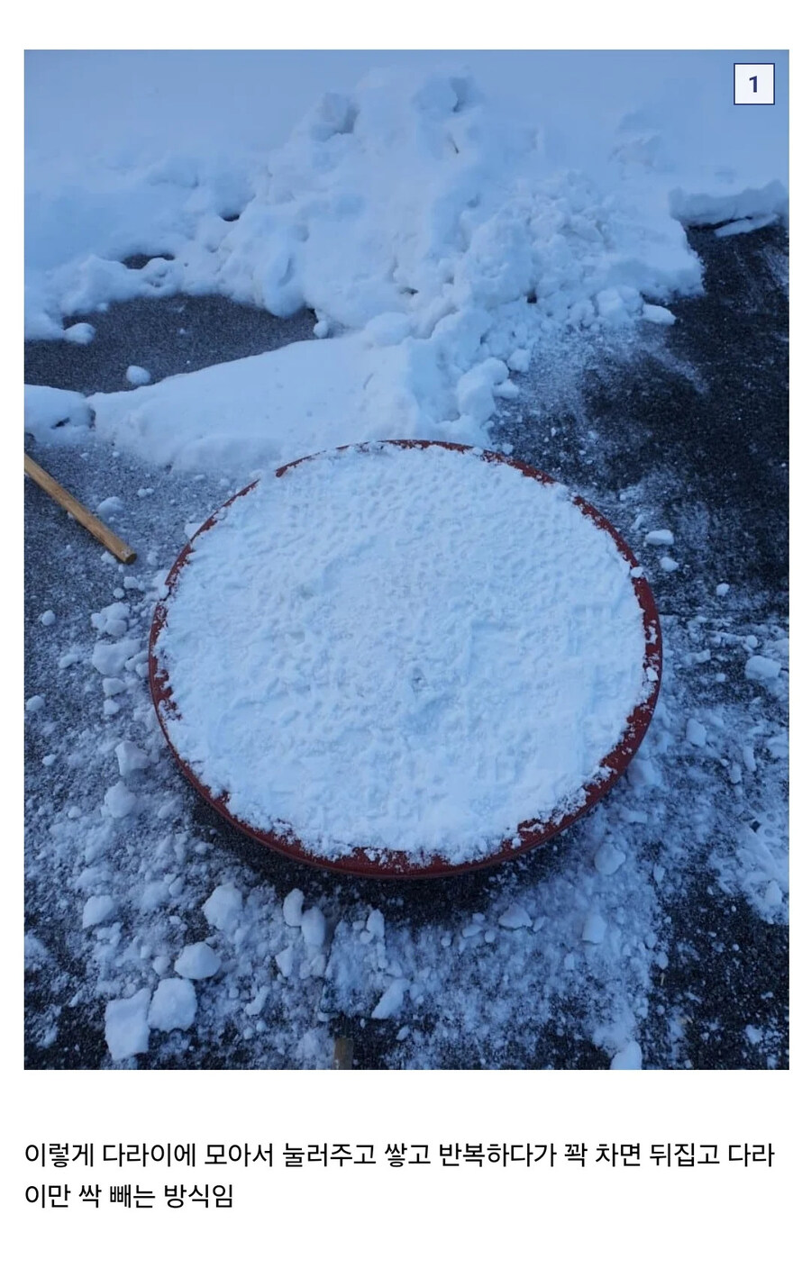 블루카) 눈으로 만든 인장주작_2.jpg