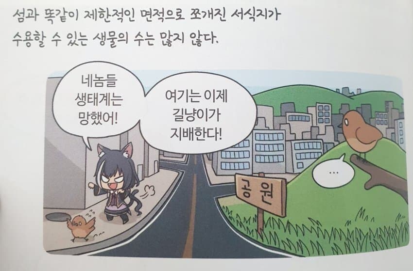길냥이 근황_1.jpg