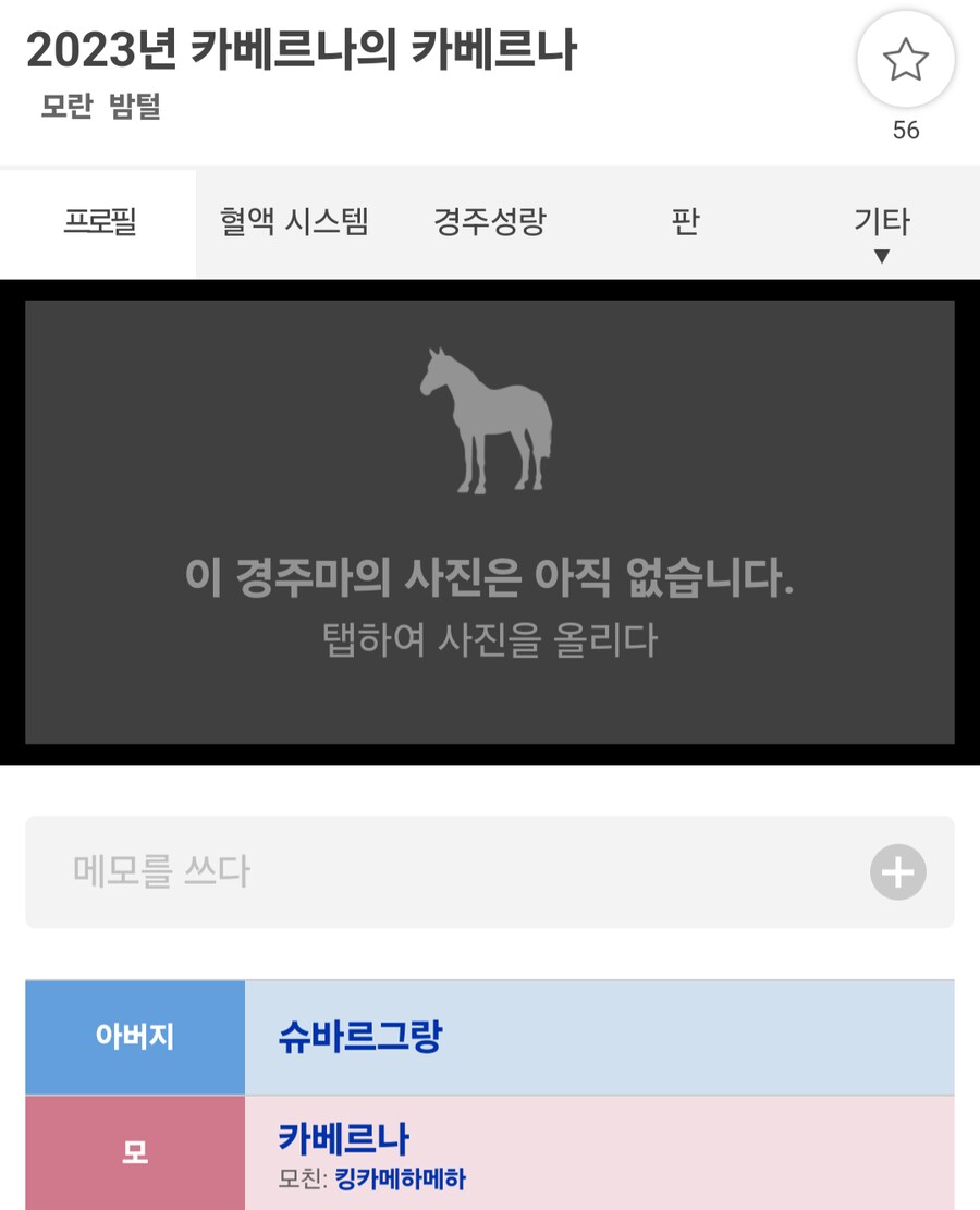 말딸, 경마)과연 마주의 로망은 성공 할 수 있을 것인가?_5.png