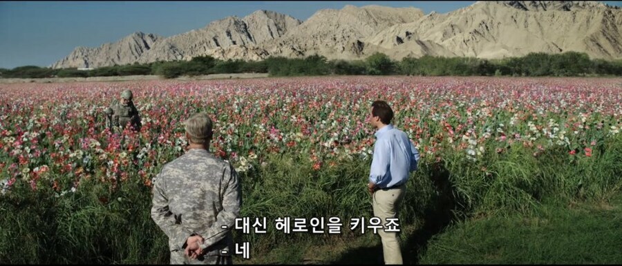 아프가니스탄 재건사업 중에 양귀비 재배가 계속된 이유_8.jpg
