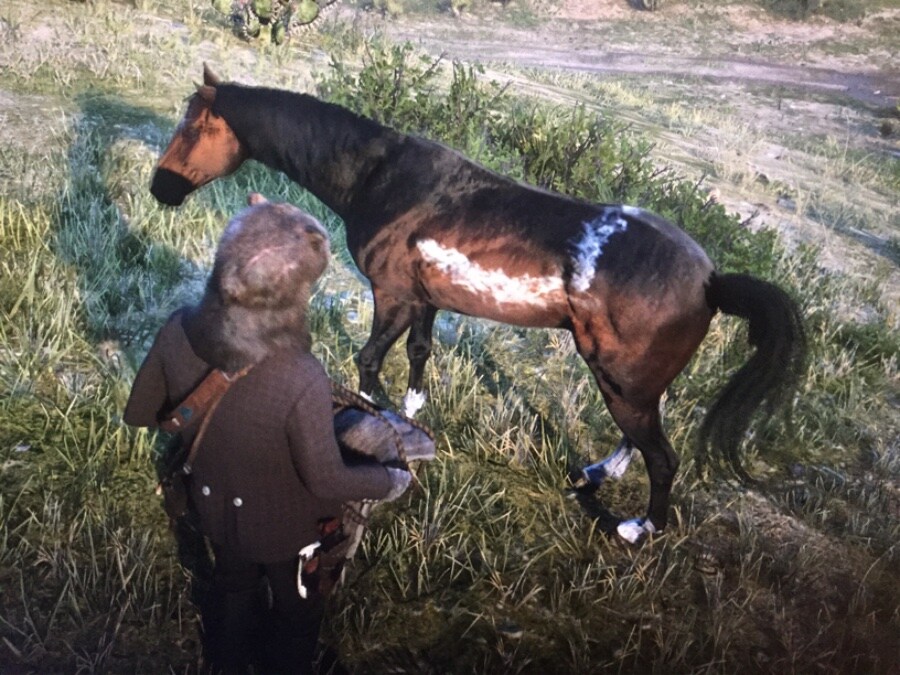 말의 땀에는 계면활성제(비누, 세제)성분이 있다._2.jpg