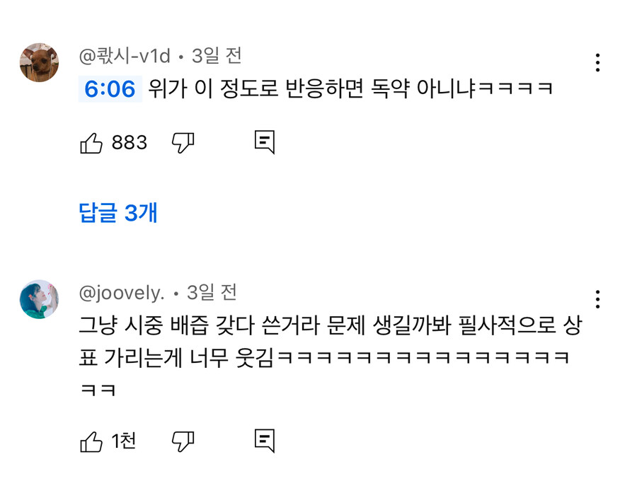 인스타 인플루언서의 공구 특징_9.jpg