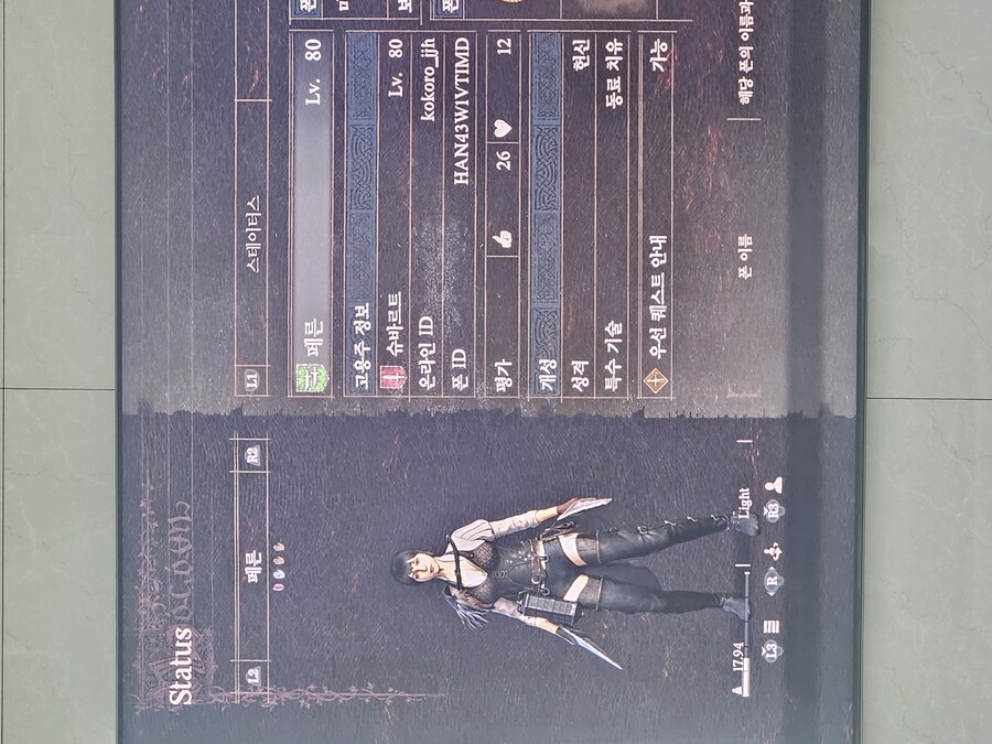 PS5 이형의 검은 갈기 하나만 부탁드릴게요_1.jpg