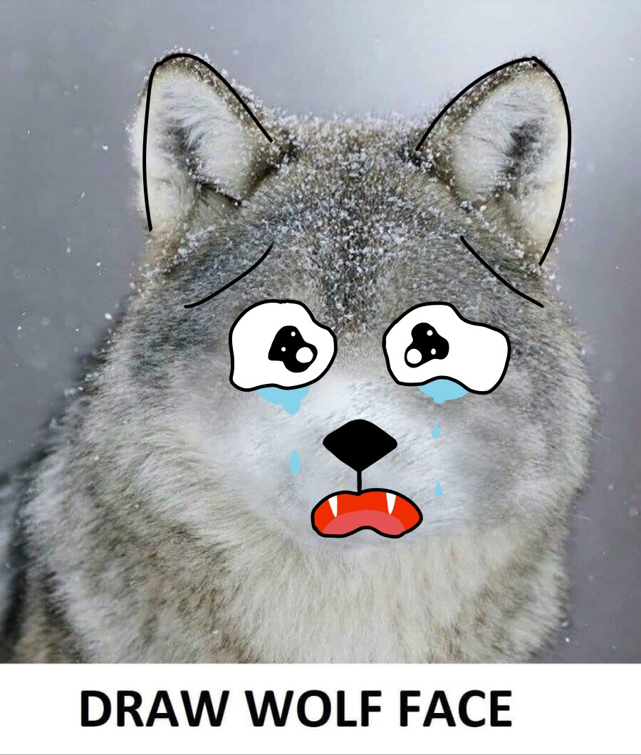 늑대의 얼굴을 그려주세요_2.png