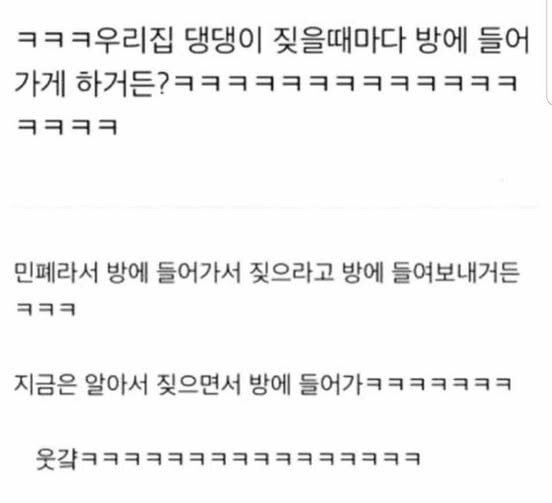 우리집 댕댕이 짖을때마다 방으로 보내거든?.img_1.jpg