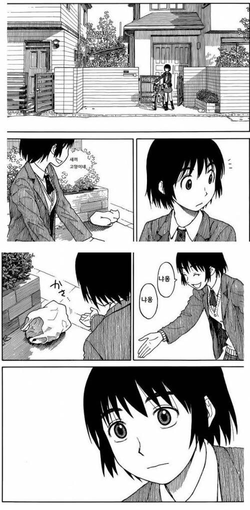 유기가된 하마를 발견한 대한민국 대학생_2.jpg