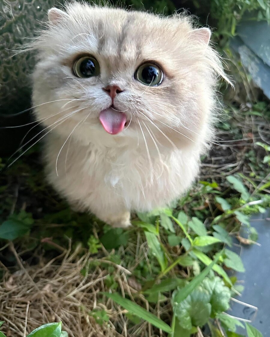 빨리와봐 급함_1.jpg