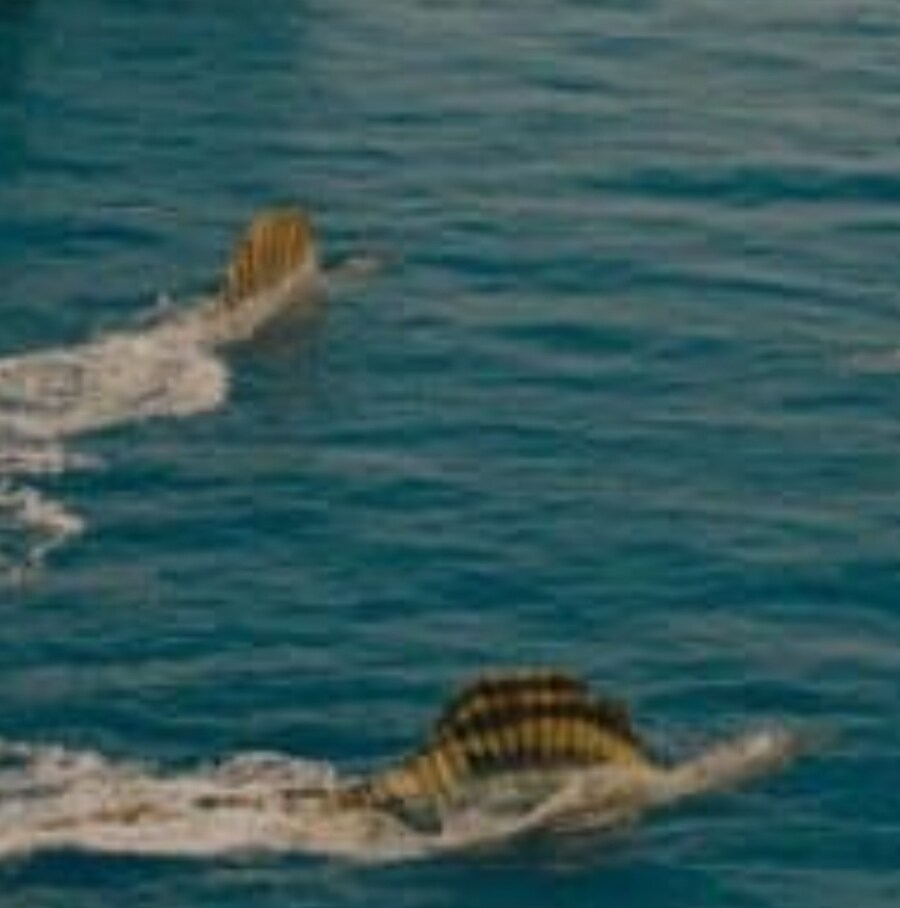 쥬라기 월드 신작에 나오는 근본 캐릭터_5.jpg