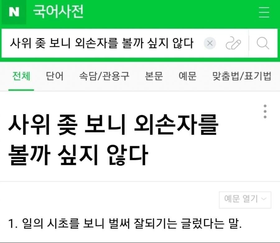 장모 : 우리 사위 꼬추 보니 외손주 보긴 글렀네..._1.jpg