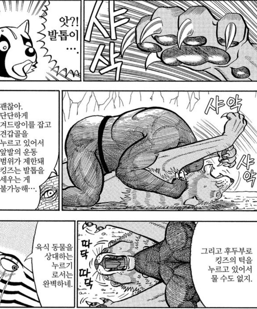 사자를 격투기로 이길 수 없는 이유.manwha_2.jpg