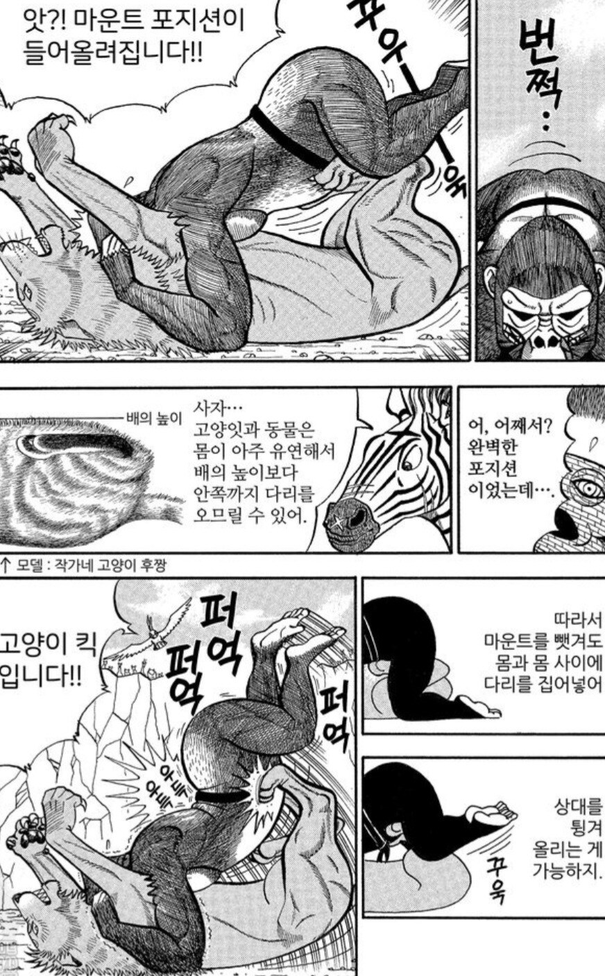 사자를 격투기로 이길 수 없는 이유.manwha_4.jpg