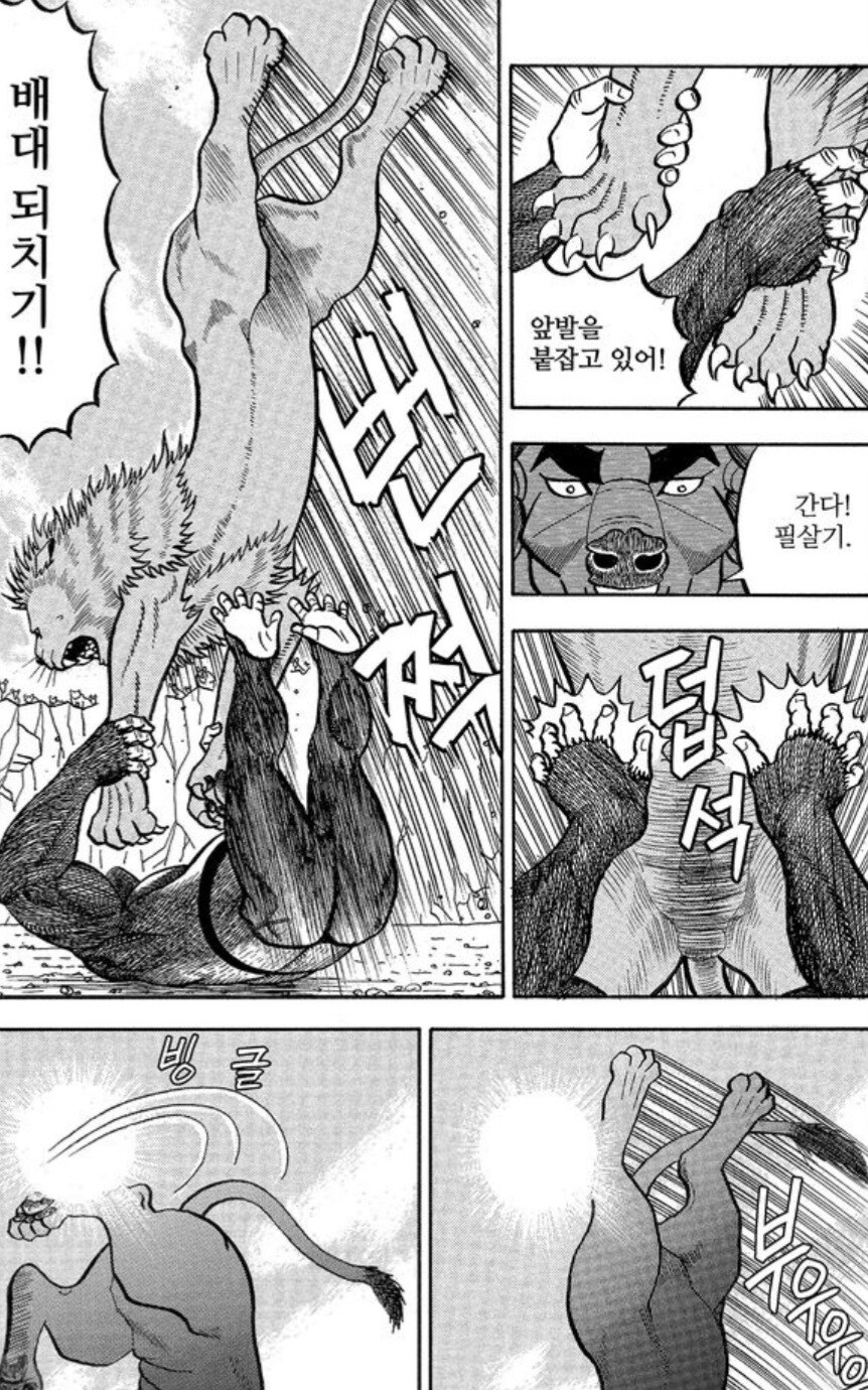 사자를 격투기로 이길 수 없는 이유.manwha_6.jpg