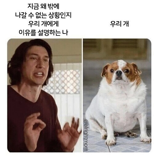 이 날씨에 산책 가자는 멍멍이_1.jpg
