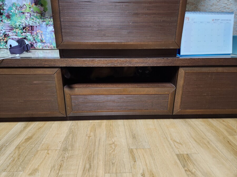 저는 준법정신이 투철해서 무슨무슨 법 이렇게 잘 지키는 사람입니다_2.jpg