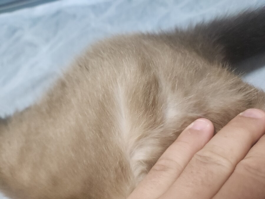 저는 준법정신이 투철해서 무슨무슨 법 이렇게 잘 지키는 사람입니다_7.jpg