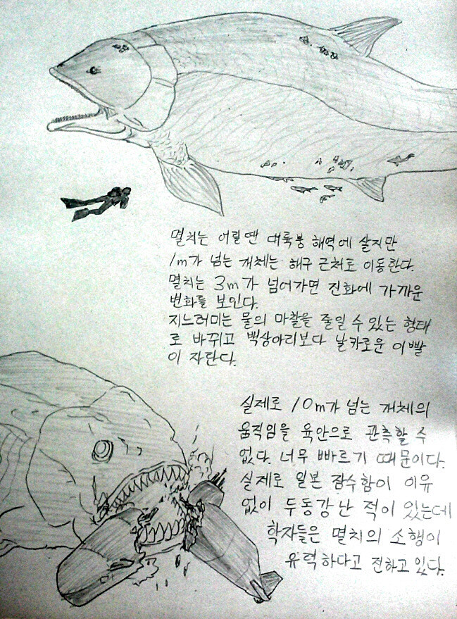 멸치의 신비.manga_3.jpg