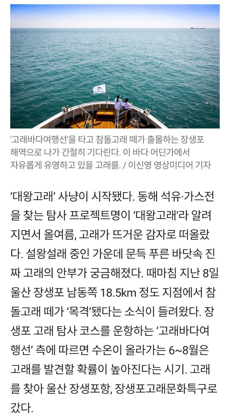 대왕고래 시추 관련 레전드였던 조선일보 기자_1.jpg