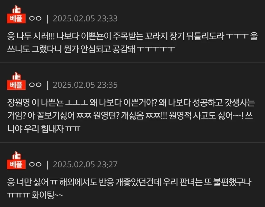 장원영 관련 불만 글에 찬반좌 없이 두들겨 패는 베댓들_2.webp