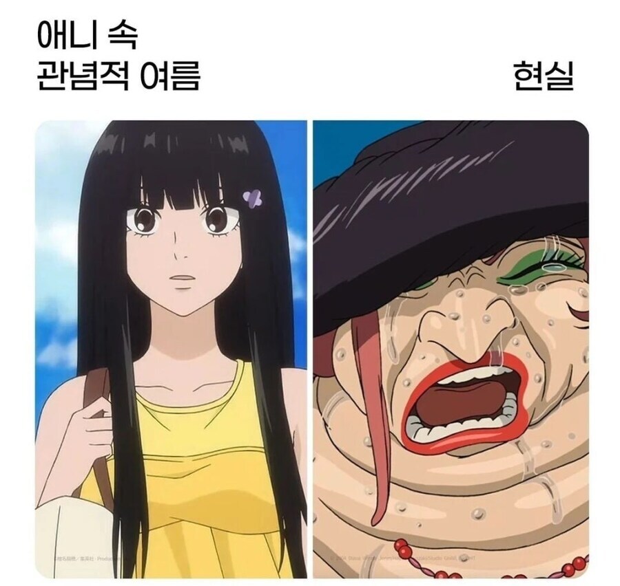 애니 속 관념적 여름 VS 현실.jpg_3.jpg