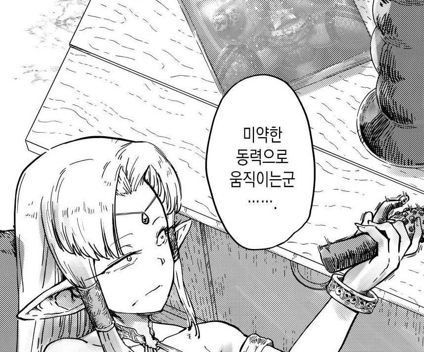 만년을 넘게 살았던 엘프가 인간의 위험한 도구를 발견한 만화_1.jpg