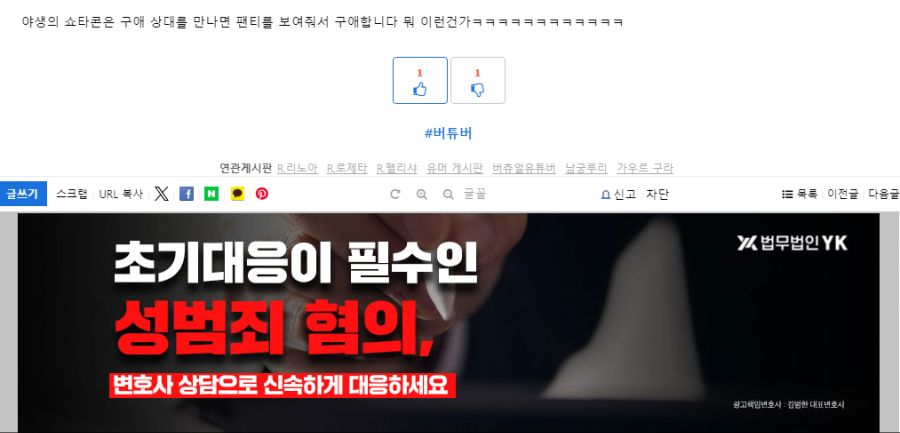 루리웹 광고배너 저격사건_2.png