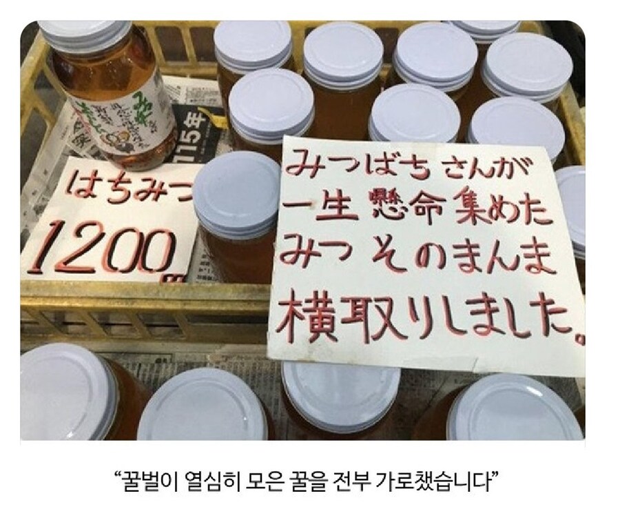 맞긴한데 뭔가 너무함_1.jpg