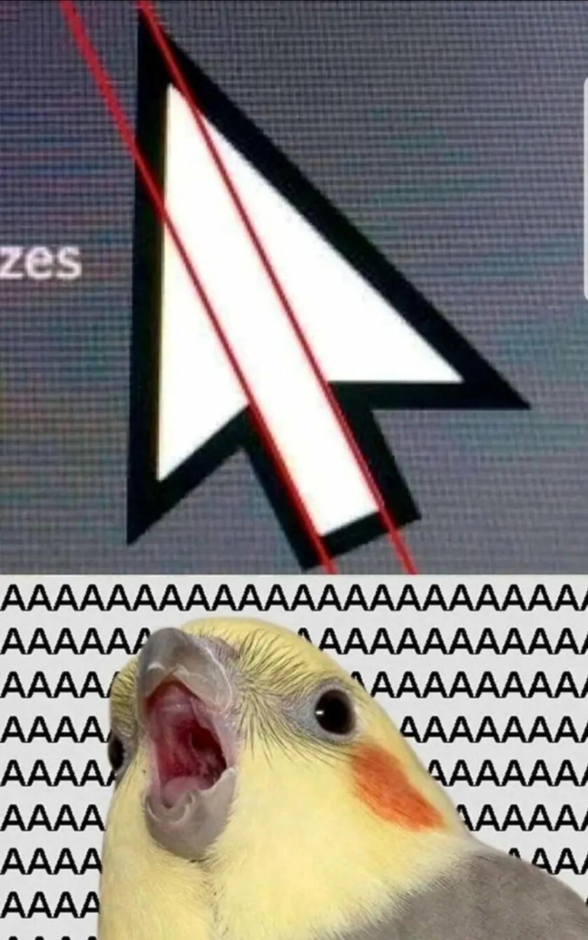 마우스에 숨겨져 있던 불편한 비밀_1.jpg