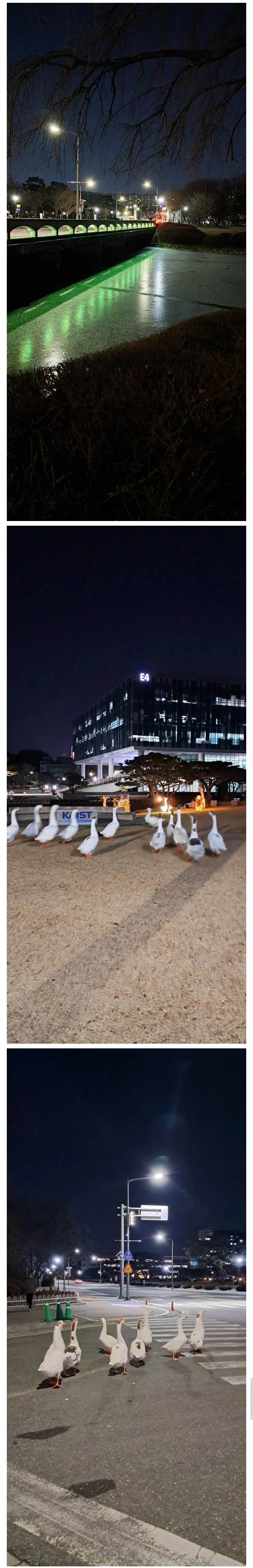 연못이 얼어버린 카이스트 근황.jpg_1.webp