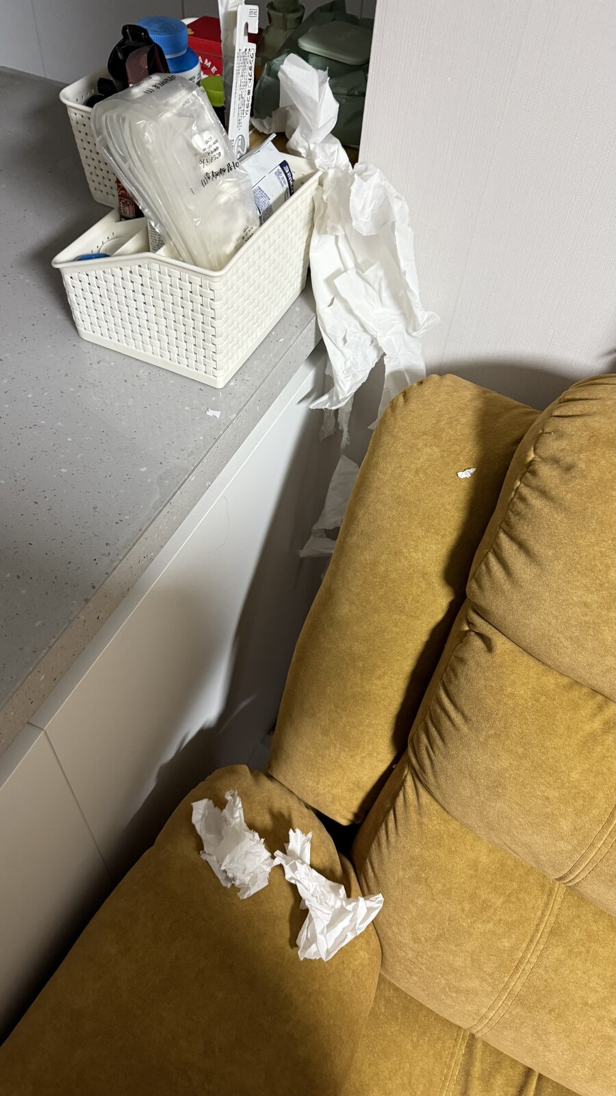 경축 아이패드 사망_1.jpg