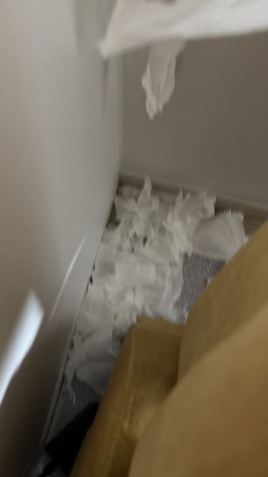 경축 아이패드 사망_2.jpg