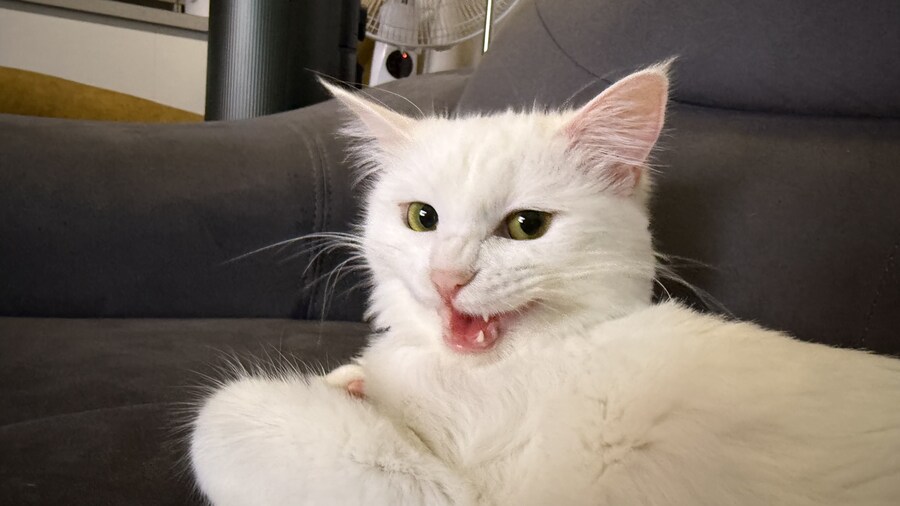 경축 아이패드 사망_3.jpg