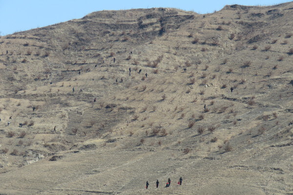 사실 북한지역의 민둥산 회복은 남한입장에선 매우 손쉬운 이유_1.jpg